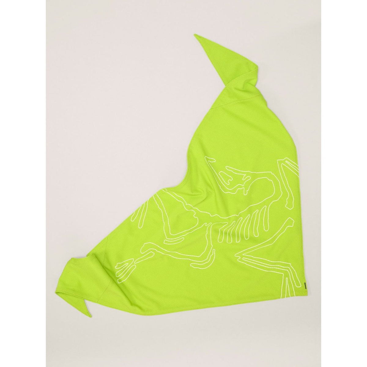 Arc'teryx Sinsolo Bandana